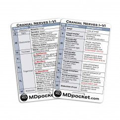 Rapid ID - Cranial Nerves