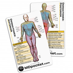 Rapid ID - Dermatomes