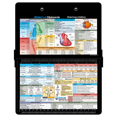 Veterinary Medicine