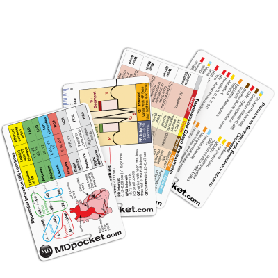 All Rapid IDs