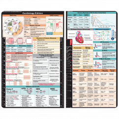 Cardiology Adhesive Reference Label 