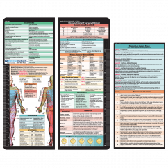 VERTICAL - Occupational Therapy Adhesive Reference Label