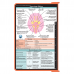 WhiteCoat Clipboard® - Coral Neurology Edition