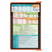 WhiteCoat Clipboard® - Coral Diagnostic Sonography Edition