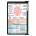 WhiteCoat Clipboard® - Green Neurology Edition