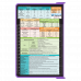 WhiteCoat Clipboard® - Lilac Diagnostic Sonography Edition