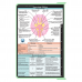 WhiteCoat Clipboard® - Mint Neurology Edition