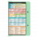 WhiteCoat Clipboard® - Mint Diagnostic Sonography Edition