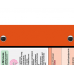 WhiteCoat Clipboard® - Orange Neurology Edition