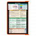 WhiteCoat Clipboard® - Orange Speech Language Pathology Edition