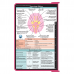 WhiteCoat Clipboard® - Pink Neurology Edition