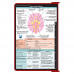 WhiteCoat Clipboard® - Red Neurology Edition