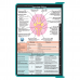 WhiteCoat Clipboard® - Teal Neurology Edition