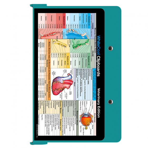 Teal Medical Edition WhiteCoat Clipboard 