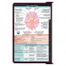 WhiteCoat Clipboard® - Wine Neurology Edition