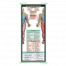 WhiteCoat Clipboard® Trifold - Mint Occupational Therapy Edition