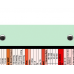 WhiteCoat Clipboard® Trifold - Mint Pediatric Infant Edition