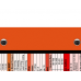 WhiteCoat Clipboard® Trifold - Orange Pediatric Infant Edition