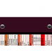 WhiteCoat Clipboard® Trifold - Wine Pediatric Infant Edition