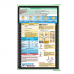 WhiteCoat Clipboard® Concealed - Mint Nursing Edition