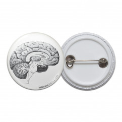 Vintage Brain Diagram Pinback Button