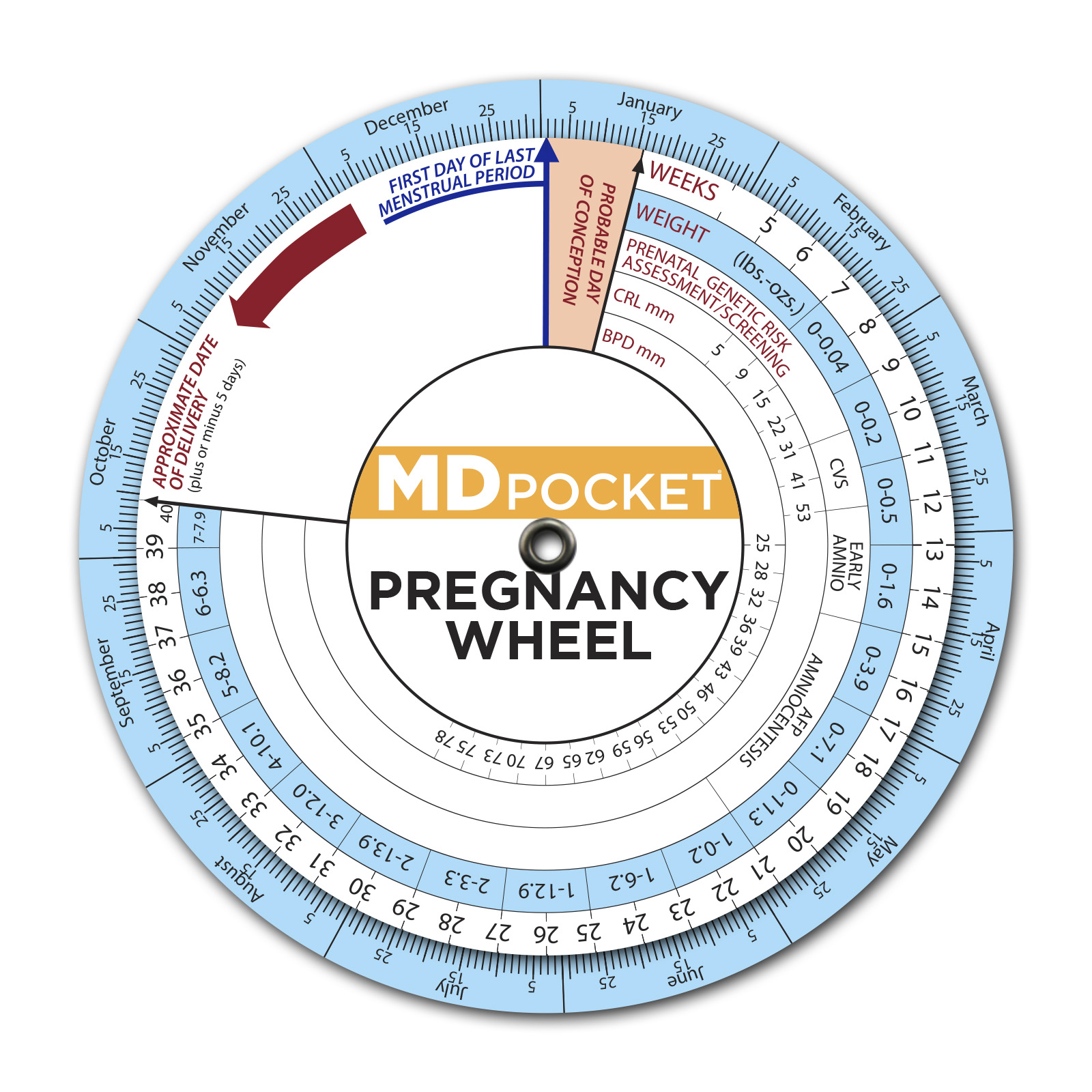 Nurses and Patients to Calculate Due Date When Pregnant Pregnancy Wheel: De...
