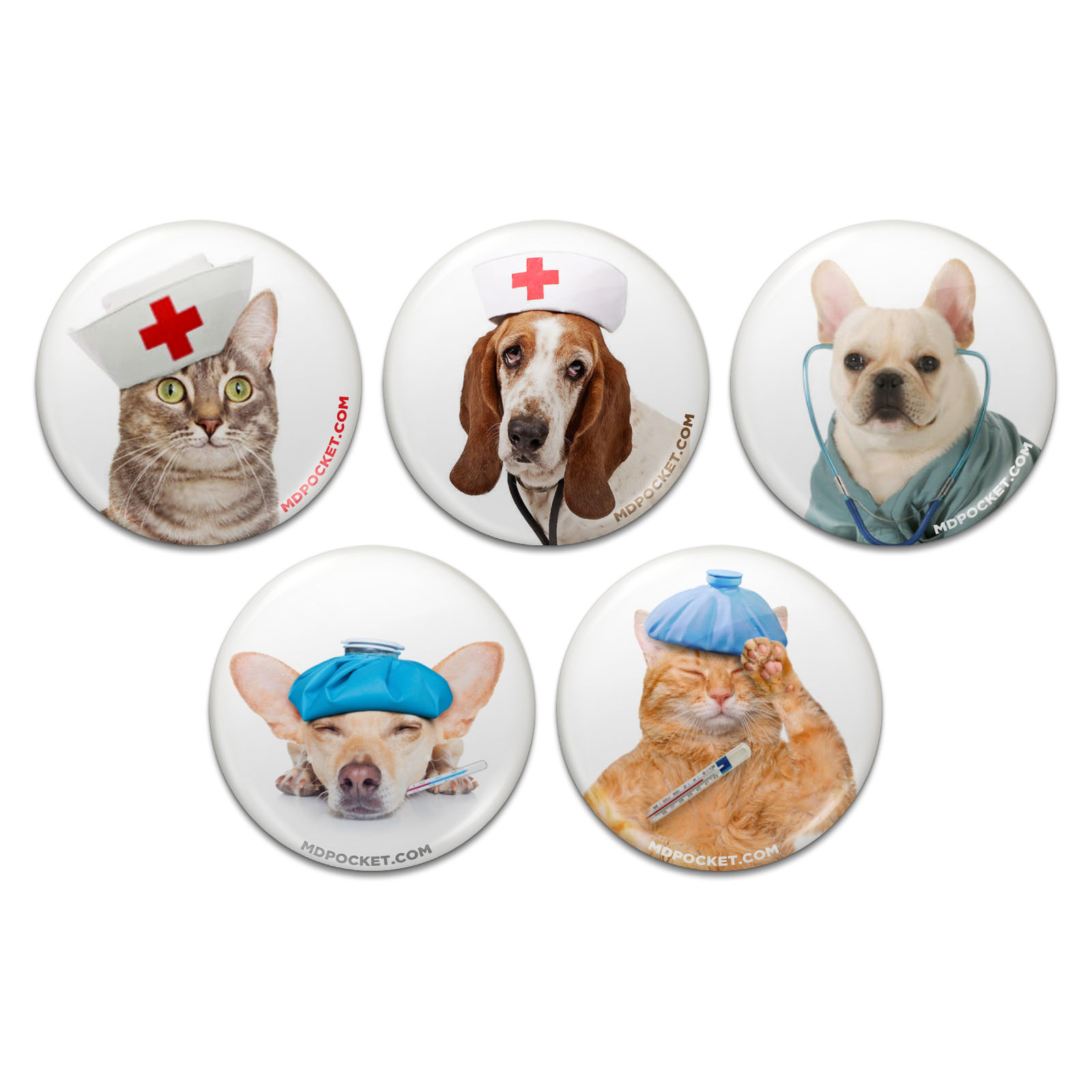 Dog Button Set of 5 Different Images *Special Price*  FREE US SHIPPING 